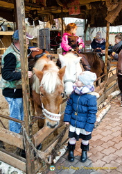 This little girl's sold on a pony ride